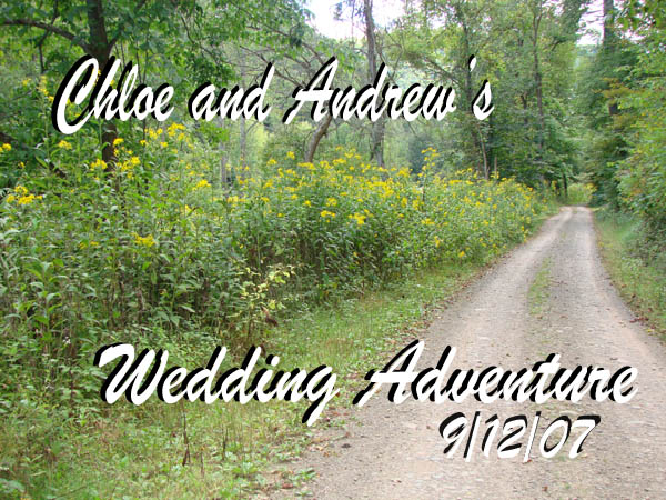 Cover pic from our wedding DVD.