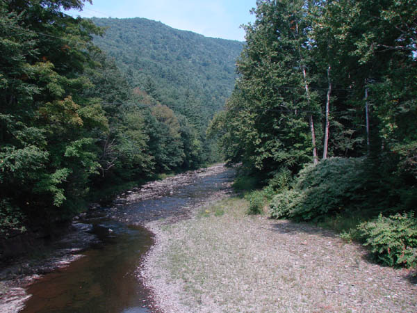 Pine Creek near the campground.