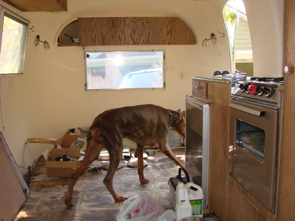 Zach leaving the camper looking scrawny and his fat bumps showing.