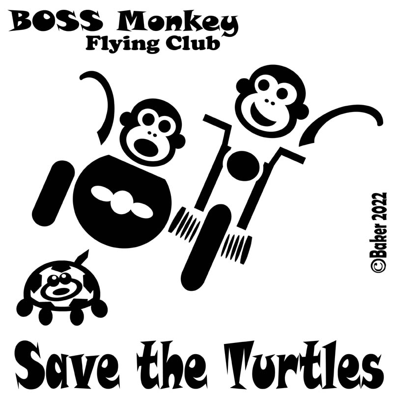 Save the turtles