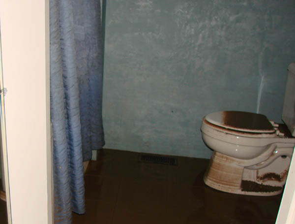 Original finish in the bathroom covered in flood mud.